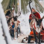 Rovaniemi: Apukka Reindeer Sleigh Ride at Night - Bonfire Break with Hot Drinks and Stories