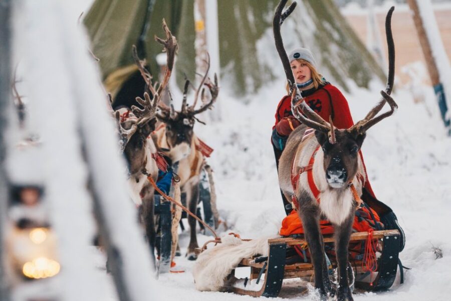 Rovaniemi: Apukka Reindeer Sleigh Ride at Night - Bonfire Break with Hot Drinks and Stories