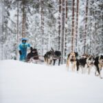 Rovaniemi: Arctic Circle Highlights by Snowmobile - Snowmobiling Through the Arctic Forests of Lapland