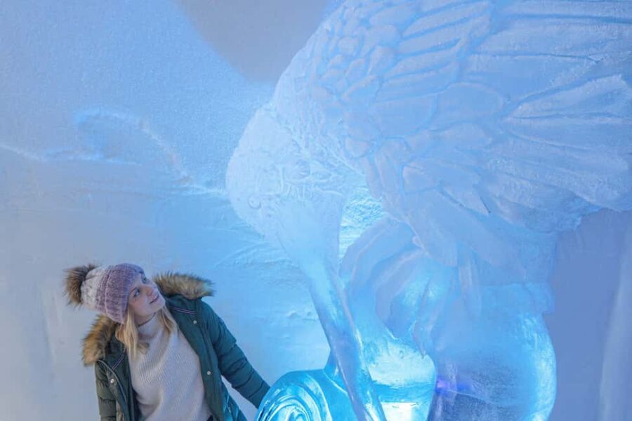 Rovaniemi: Arctic SnowHotel Tour - Inside the Arctic SnowHotel: A World of Ice Art