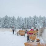 Rovaniemi: Arctic TreeHouse Experiences Reindeer Expedition - Convenient Pickups at Central Rovaniemi Locations