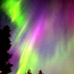 Rovaniemi: Aurora BBQ at the Best Spots - Food and Beverage Around the Bonfire in Arctic Wilderness