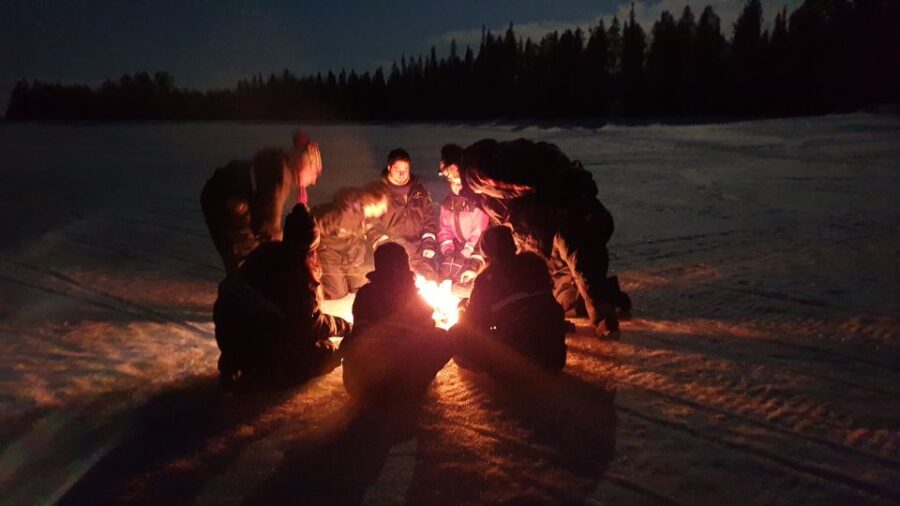 Rovaniemi: Aurora Borealis Snowmobile Safari with Campfire - The Snowmobile Route and Scenic Northern Landscapes