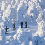Rovaniemi: Cross Country Wilderness Ski Adventure - From the Nordic Unique Travels Office to Ounasvaara Forest