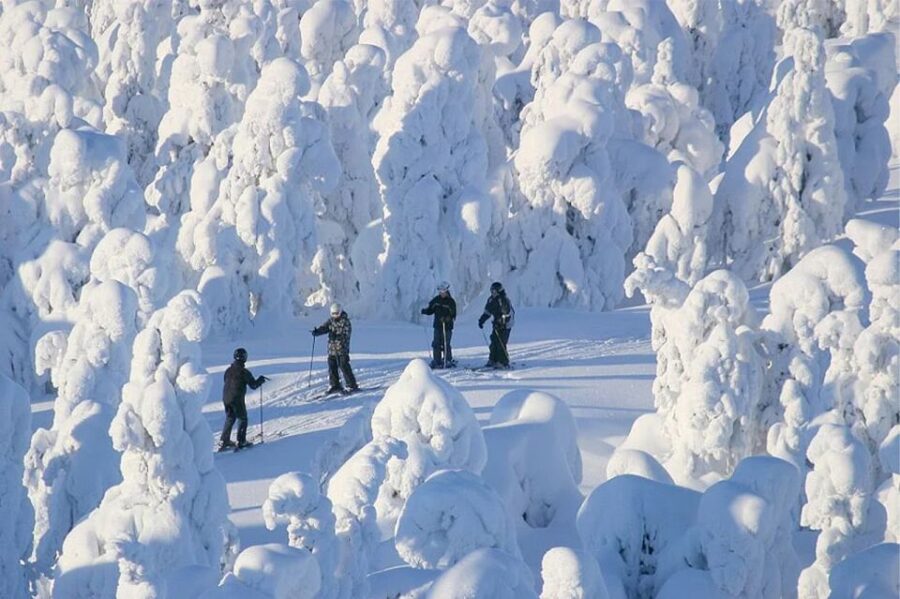 Rovaniemi: Cross Country Wilderness Ski Adventure - From the Nordic Unique Travels Office to Ounasvaara Forest