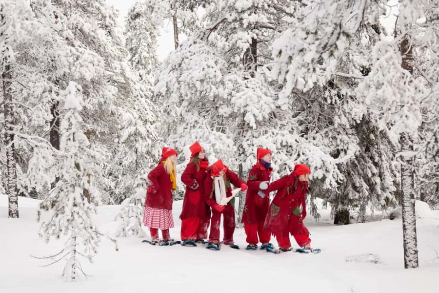 Rovaniemi: Elf Training Center - The Santa’s Elf Guides