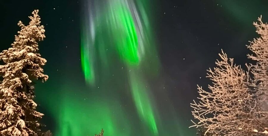 Rovaniemi: Elf's Northern Lights Sleigh Ride - What the 1.5-Hour Elf-Guided Snowmobile Sleigh Ride Looks Like
