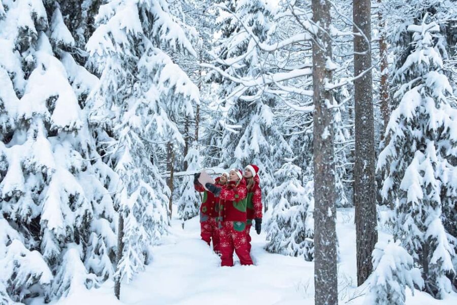 Rovaniemi: Elf's Snowy Gift Quest by Snowshoes - Snowshoeing in the Forest: An Easy Arctic Trek