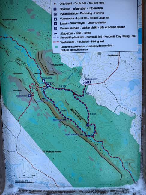 Rovaniemi: Frozen Kuroama Waterfall Guided Tour with BBQ - Viewing the Frozen Kuroama Waterfall as an Ice Sculpture