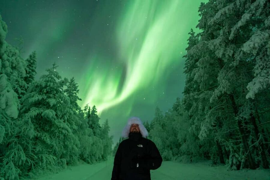 Rovaniemi: Guaranteed Northern Lights Small Group & Photos - The Itinerary: From Pickup to Return