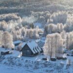 Rovaniemi: Guided Tour At Shaman Village - Reindeer Encounters and Cultural Learning