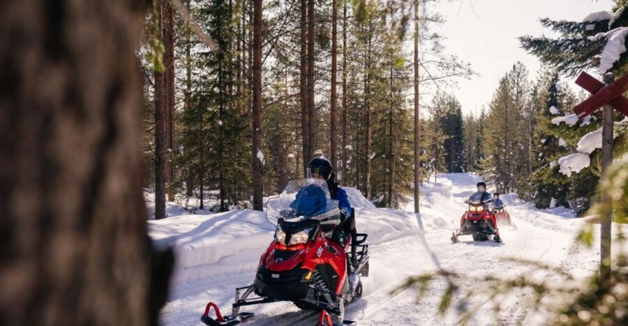 Rovaniemi: Half-Day Snowmobile Tour - What to Expect on the Snowmobile Trail