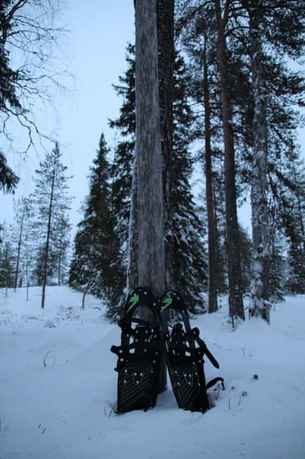 Rovaniemi: Hike up the historical arctic hill - Climbing the Arctic Hill: Terrain and Difficulty