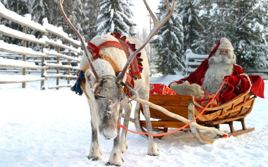 Rovaniemi: Husky and Reindeer Farm Visit with Sled Ride - Visiting a Friendly Husky Farm and Meeting the Dogs