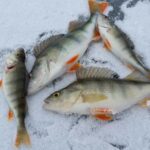 Rovaniemi: Ice Fishing Adventure - What Makes the Ice Fishing Locations in Lapland Special