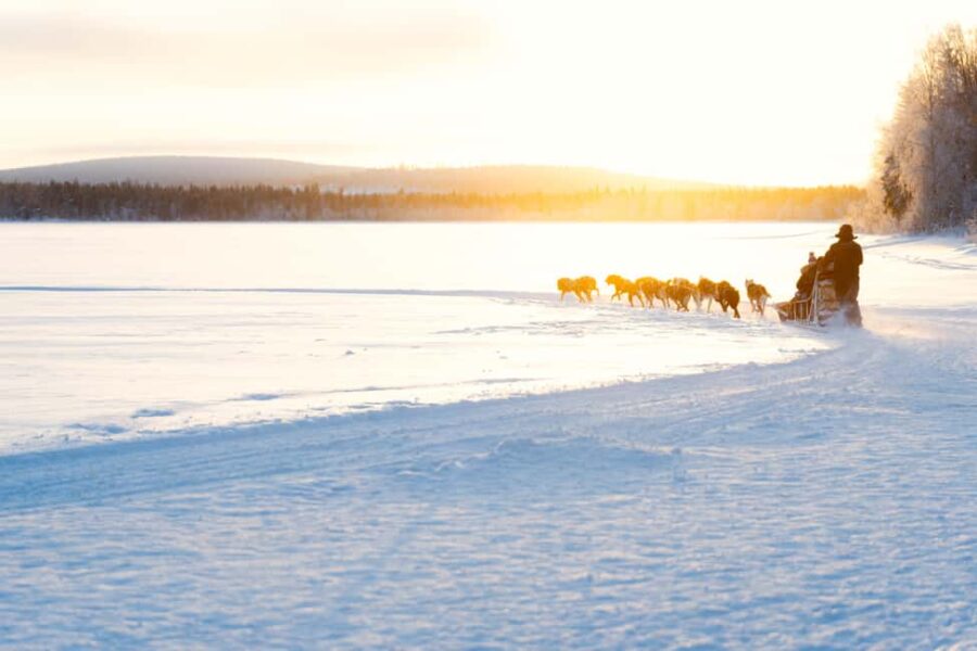 Rovaniemi: Insider 10 km Husky Sled Ride - Preparing for the Arctic Cold