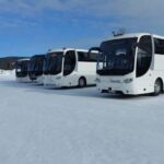 Rovaniemi: Insider Northern Lights Bus with Drinks & Snacks - The Scenic Route through Laplands Winter Landscape