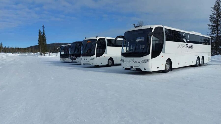 Rovaniemi: Insider Northern Lights Bus with Drinks & Snacks - The Scenic Route through Laplands Winter Landscape