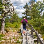 Rovaniemi: Korouoma Canyon Autumn Hike & BBQ - Scenic 46 km Hike: Forests, Cliffs, and Canyon Views