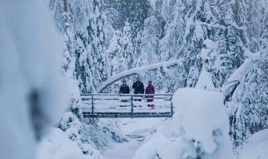 Rovaniemi: Korouoma Canyon Frozen Waterfalls Guided Hike - Wildlife Signs to Look for in Korouoma Canyon