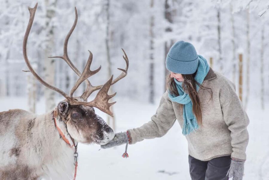Rovaniemi: Korouoma Canyon & Reindeer Farm Day Trip - Who Will Appreciate This Tour Most