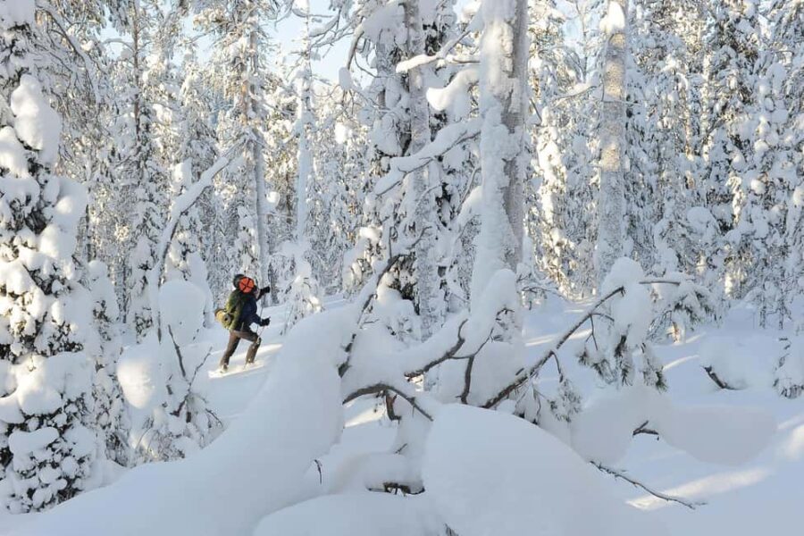 Rovaniemi: Korouoma Wilderness Cafés Icefall Tour and Lunch - The Expertise of Local Guides from Posio