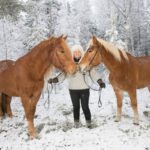 Rovaniemi: Late Night Ride with Finnhorses - From Aurora Horses Napapiiri to the Forest Trails
