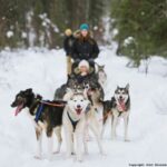 Rovaniemi: Meet Santa Claus, Reindeer Sleigh Ride & Huskies - Santa Claus Village Guided Tour