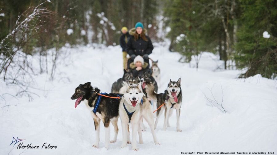 Rovaniemi: Meet Santa Claus, Reindeer Sleigh Ride & Huskies - Santa Claus Village Guided Tour