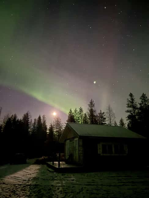 Rovaniemi: Northern Lights Electric Snow-Scooter Tour - From the Snowy Forest to the Aurora Cabin