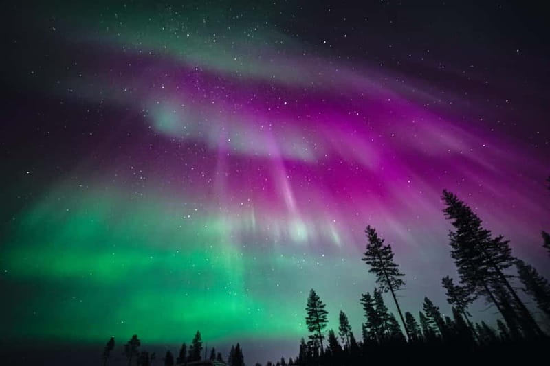 Rovaniemi: Northern Lights Group Tour with Guaranteed View - The Route and Locations Chosen by the Guides