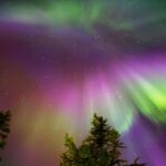 Rovaniemi: Northern Lights Tour - Transport and Comfort: Heated Bus and Hot Drinks