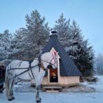 Rovaniemi: Northern Lights Tour with Finnhorses Sleigh Ride - Starting Point and Meeting Details in Santa Claus Village