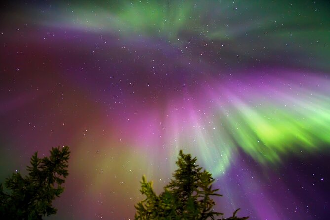 Rovaniemi: Northern Lights Tour - Transport and Comfort: Heated Bus and Hot Drinks