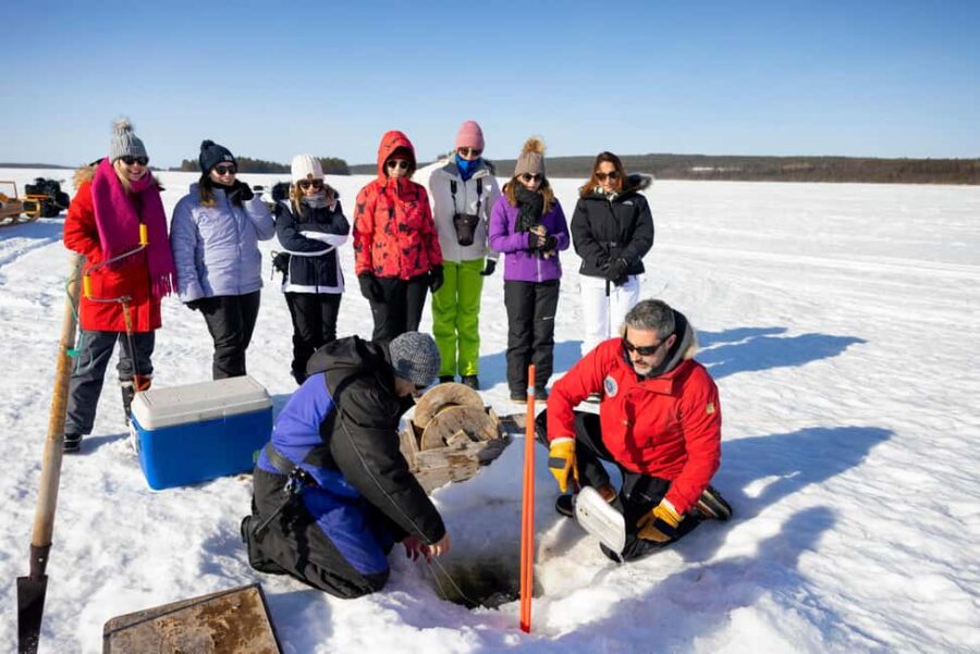 Rovaniemi: Posio Day Trip with Ceramics & Local Life - Visiting Miki Studio: Crafting Ceramics Inspired by Nature
