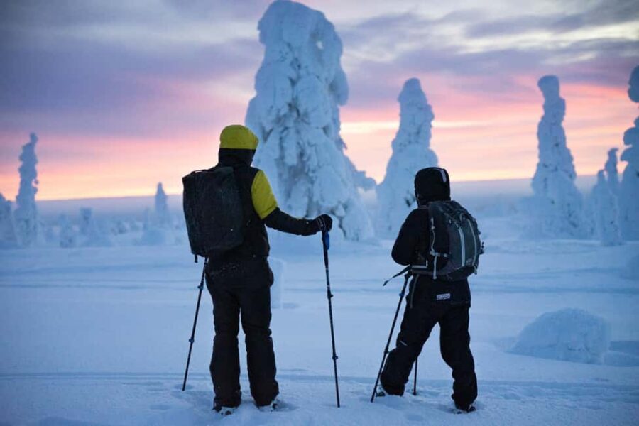 Rovaniemi: Private 3h Snowshoeing hike - Custom Routes Designed for All Fitness Levels