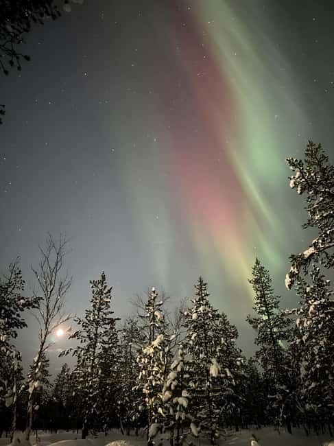 Rovaniemi: Private Northern Lights Tour - Scenic Drive and Arctic Landscape