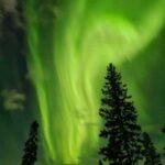 Rovaniemi: Private Self-drive husky sledding Aurora tour - The Scenic Snowy Forest Route