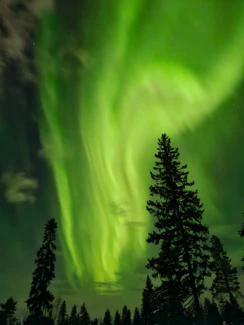 Rovaniemi: Private Self-drive husky sledding Aurora tour - The Scenic Snowy Forest Route