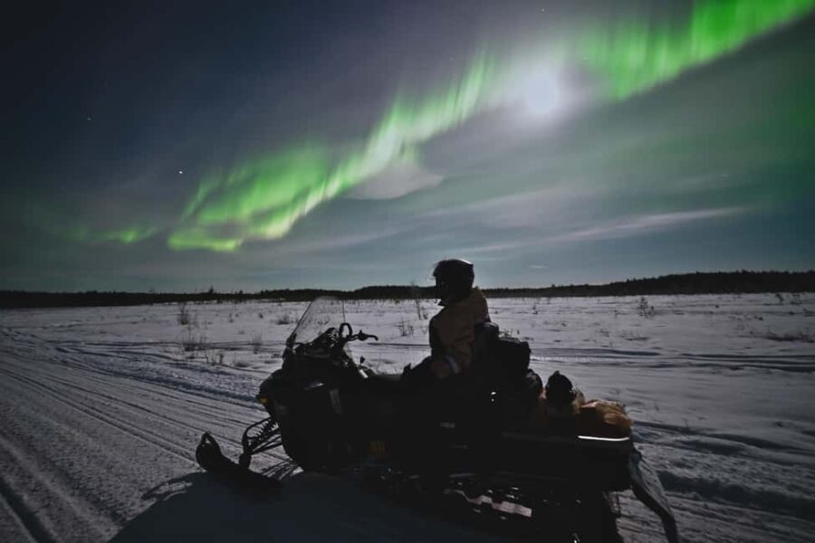 Rovaniemi: Private Snowmobile Trip With Local Guide - Scenic Snowmobile Ride Through Lapland’s Pristine Forests