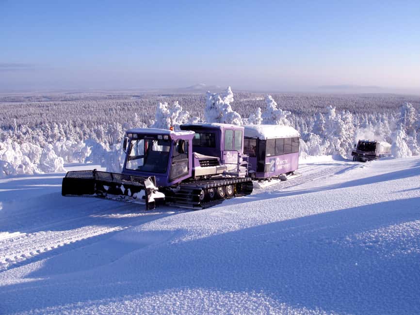 Rovaniemi: Pyhä-Luosto National Park Amethyst Mining Tour - How the Tour Combines Hiking and Gemstone Digging
