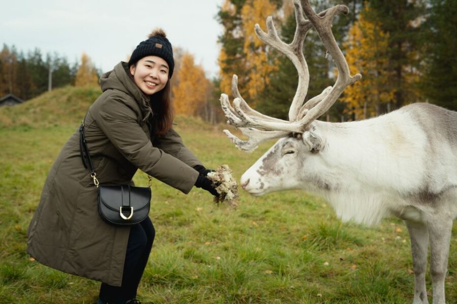 Rovaniemi: Reindeer Farm Visit with Photographer - Discovering an Authentic Reindeer Farm in Lapland