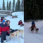 Rovaniemi: Reindeer & Husky Safari with Lunch - Key Points