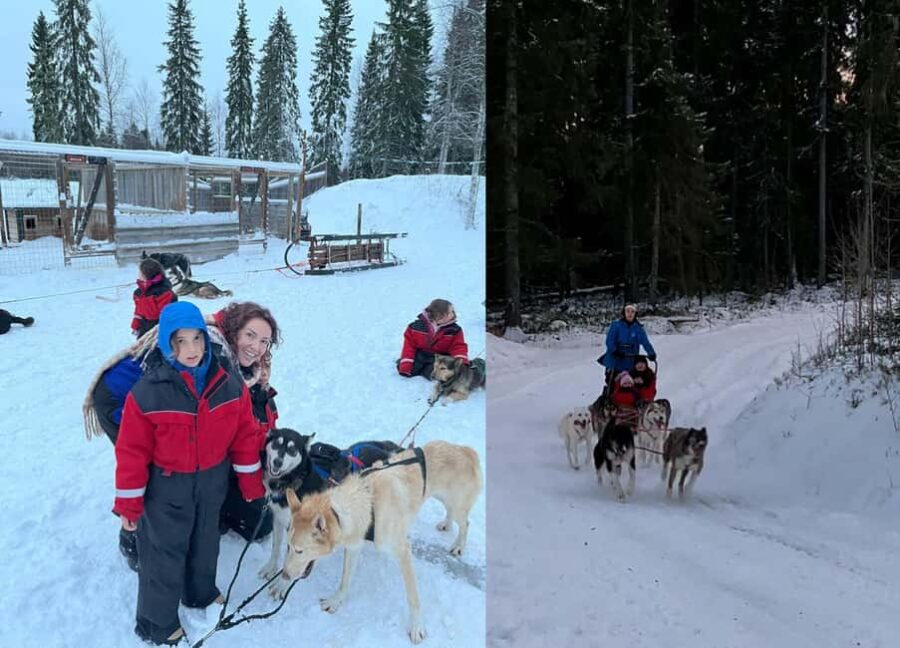 Rovaniemi: Reindeer & Husky Safari with Lunch - Key Points