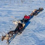 Rovaniemi: Reindeer Safari at 200-Year-Old Farm & Sled Ride - The Historical Reindeer Farm Experience in Lapland
