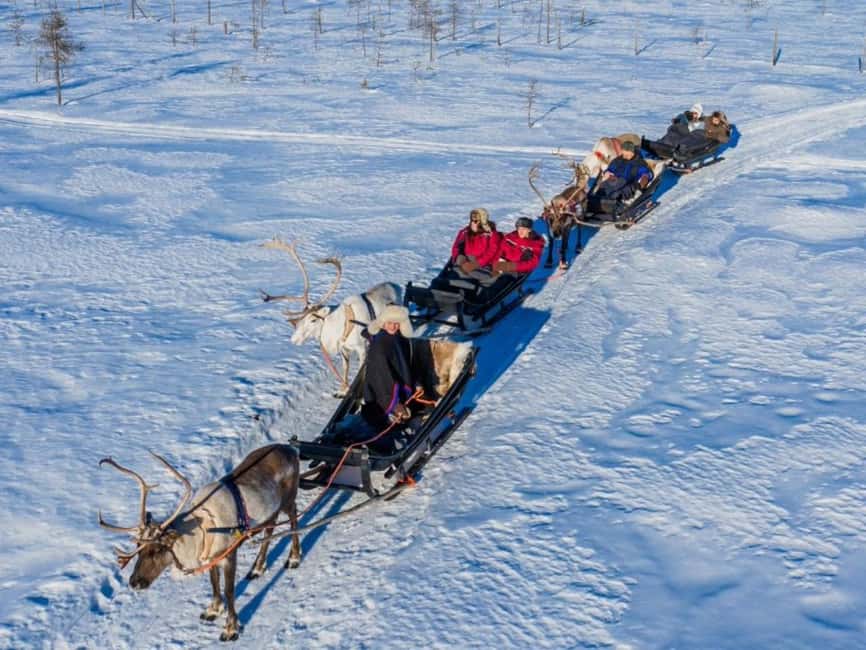 Rovaniemi: Reindeer Safari at 200-Year-Old Farm & Sled Ride - The Historical Reindeer Farm Experience in Lapland