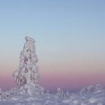 Rovaniemi: Riisitunturi Hike with Local Guide and Photograph - "Photographer on Board" and Capturing Memories