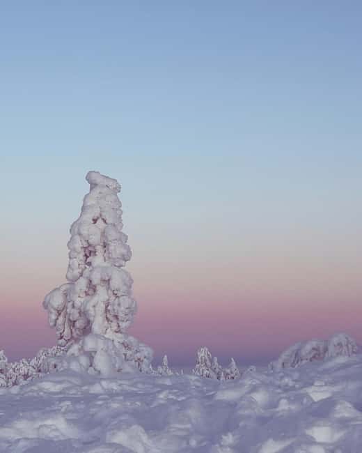 Rovaniemi: Riisitunturi Hike with Local Guide and Photograph - "Photographer on Board" and Capturing Memories