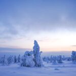 Rovaniemi: Riisitunturi National Park Day Trip with Lunch - Exploring Riisitunturis Snowy Forests and Frozen Views