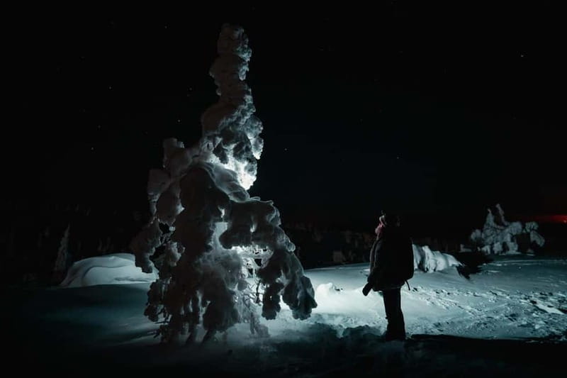 Rovaniemi: Riisitunturi National Park Night Photography Tour - A 3.4 km Guided Hike Through Silent Arctic Forests